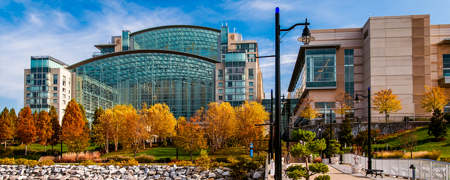Large modern building with a curved glass atrium at the center, flanked by rectangular structures with beige and glass facades. In front, a landscaped area features autumn-colored trees, green shrubs, and a stone-lined waterfront. A black streetlamp and a white railing run along a paved walkway in the foreground under a blue sky with light clouds.
