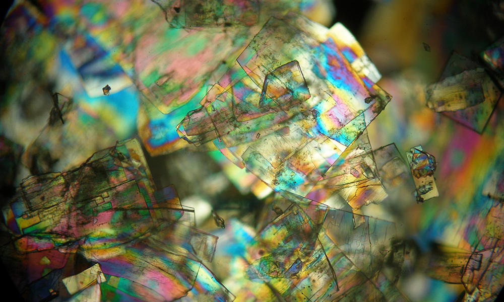 Microscopic view of colorful structures with iridescent patterns.