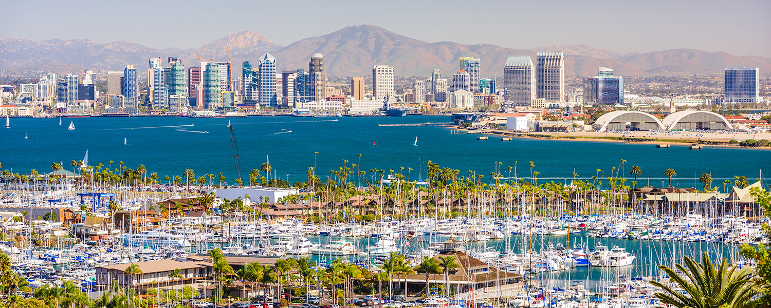 Marina filled with numerous boats and yachts in the foreground, with palm trees scattered throughout.