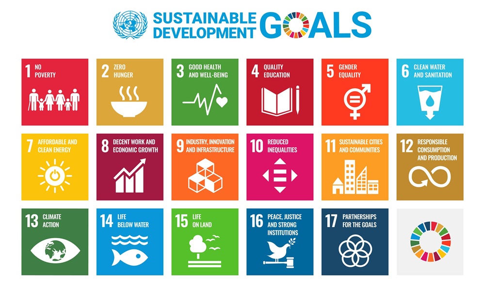 Grid of the 17 United Nations Sustainable Development Goals icons, labeled from No Poverty through Partnerships for the Goals, shown under the heading ‘Sustainable Development Goals