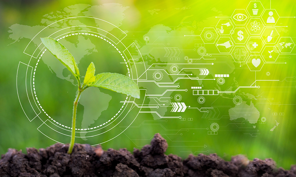 an image of a seedling plant with virtual imaging of the world and emerging technologies