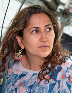 Women in Optics profile headshot: Ladan Arissian