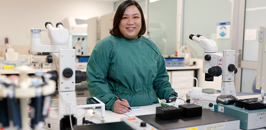 Cheow Yuen (Tiffany) Tan, a recipient of the Berns-SPIE SPARK Grant, in the embryology lab with a brightfield microscope, commonly used for the visual assessment of embryos. 