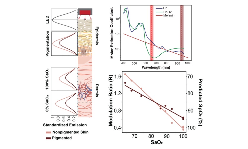 Research confirms that skin pigmentation can reduce the accuracy of pulse oximeters.