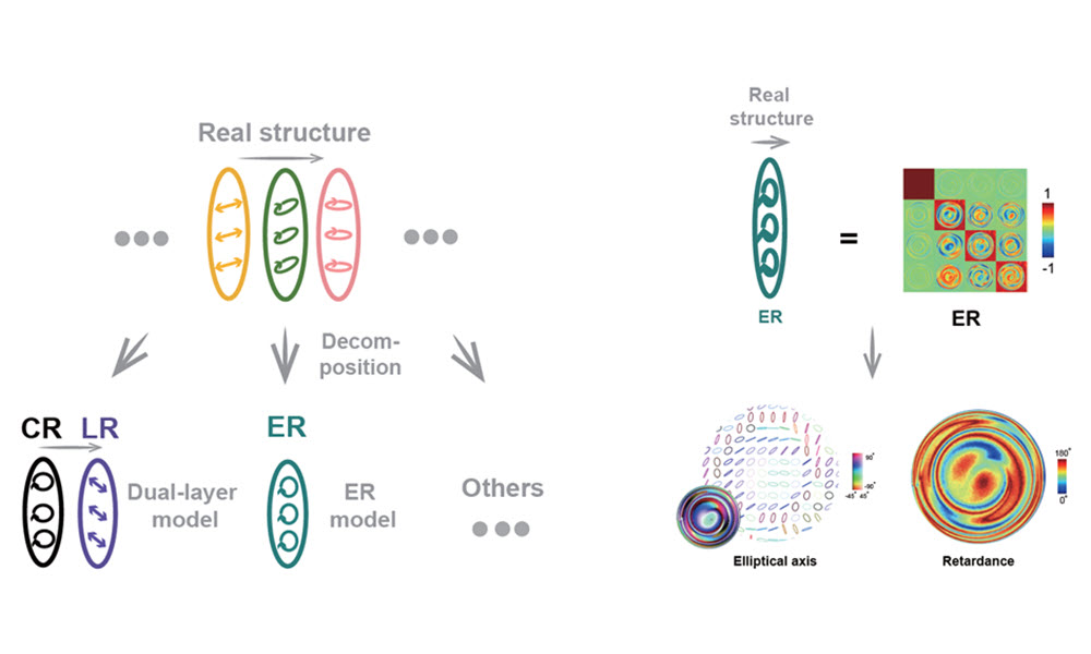 In polarization analysis, the real structure of a retarder sample may consist of multiple layers or a continuous, nonlayered structure (left).