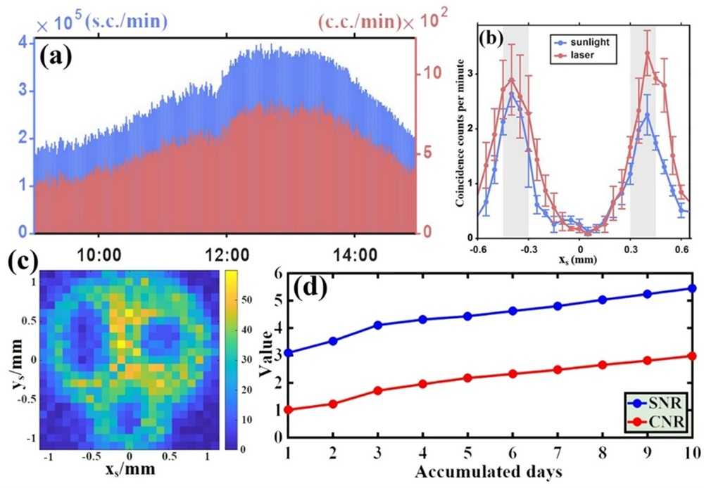 Four-panel ghost imaging figure: time-series counts, coincidence profiles comparing sunlight and laser, skull image heatmap, and SNR/CNR rising over days.