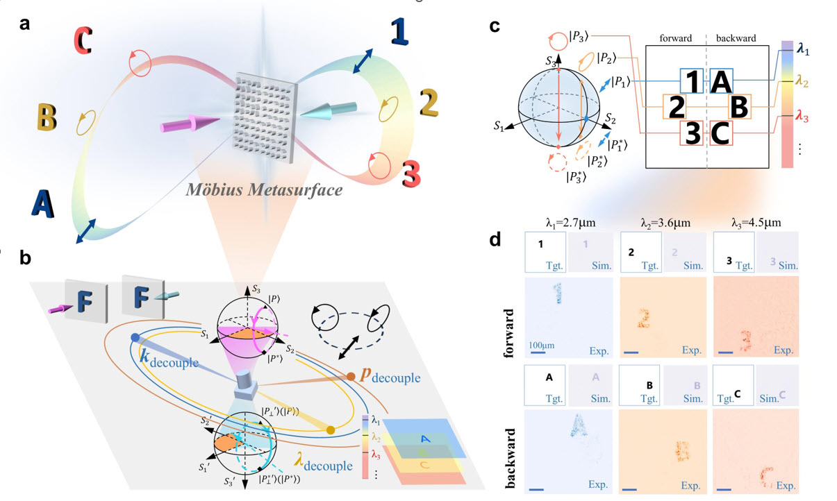 Diagram of a M&ouml;bius metasurface splitting light into three labeled paths with polarization loops, experimental setups, wavelength mapping, and forward/backward results.