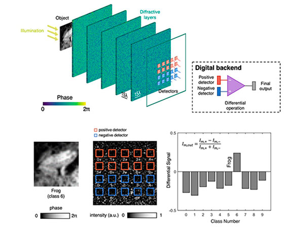 APOzcan-Operation principles of a differential diffractive optical neural network APOzcan-Operation principles of a differential diffractive optical neural network.
