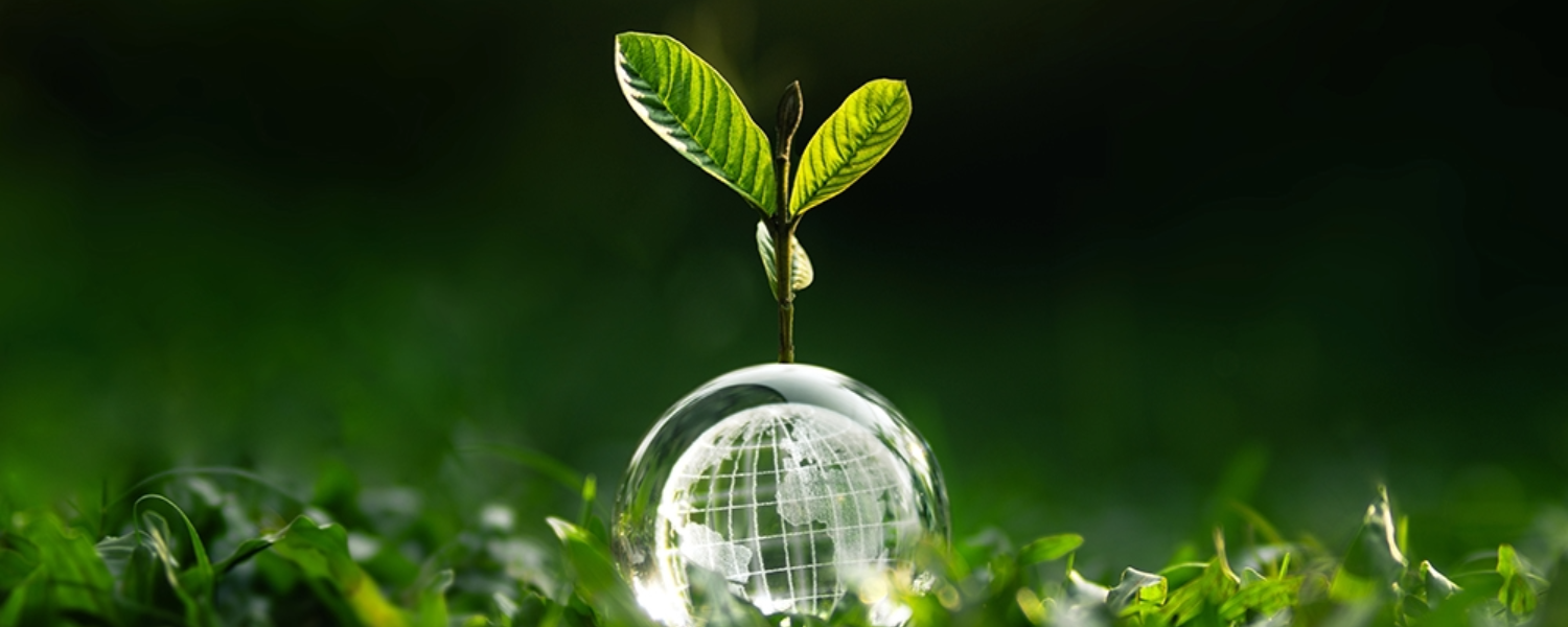 A small green plant with two leaves grows from a transparent globe etched with a world map, resting on grass with a blurred background.