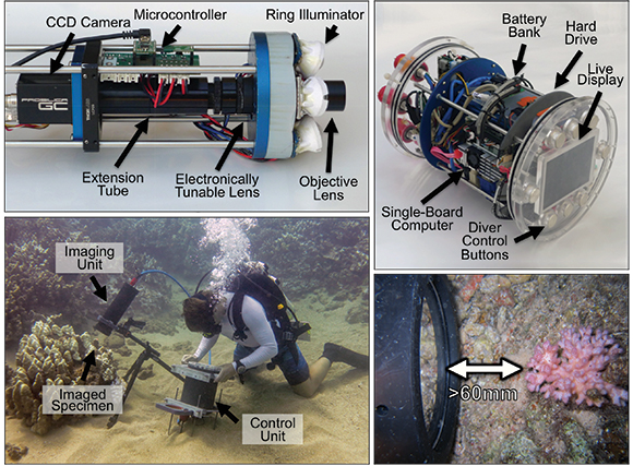 benthic underwater microscope