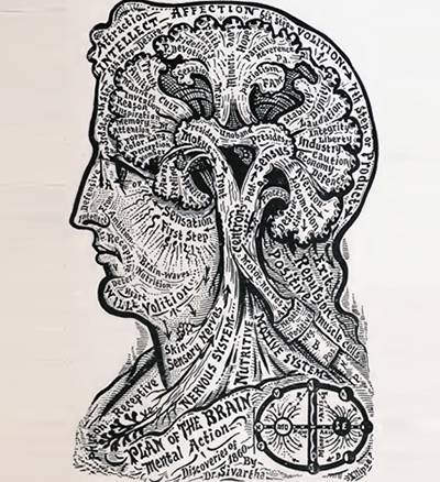Credit: Alesha Sivartha, “Plan of the Brain.” Public domain.