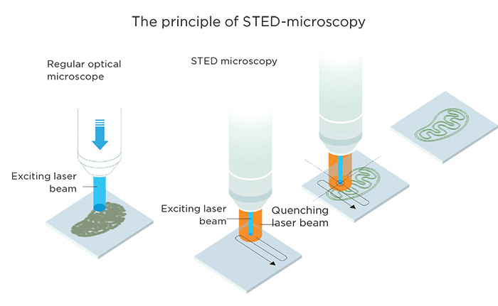 The principle of STED-microscopy