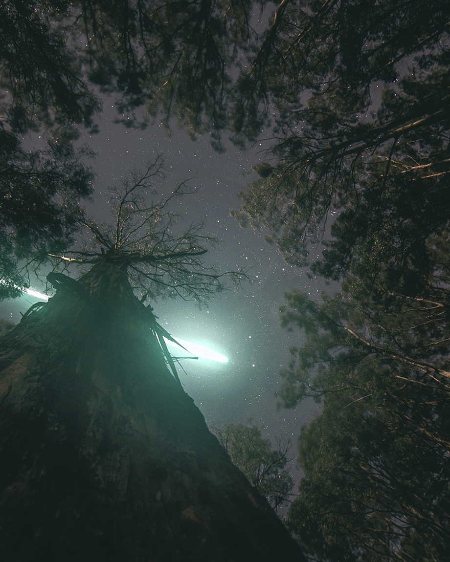 Dandenongs Meteor