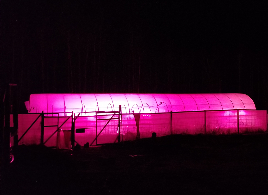Greenhouse illuminated
